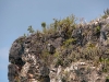 Sparse Vegetation on Cliff