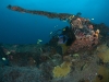 Scuba Diving the Carib Cargo in Sint Maarten