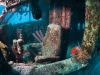 Diving Coral Gardens: Great Dog Island, BVI