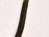 Millipede Scaling Wall