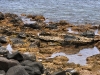 Tide Pools on Eastern Shore of Pinel
