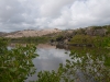 Pond Near Coralita