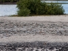 Low Water Exposes a Mudflat at Salines d\'Orient