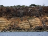 Shoreline Cliffs at Tintamarre Serve as a Nesting Site for Sea Birds