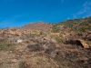 Wildfire Burned Area Near Guana Hill