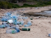 Plastic Bottles Near Wilderness