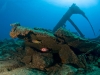 Shipwreck Remnants