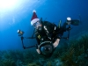 Sally Underwater Santa